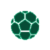 里尔队标